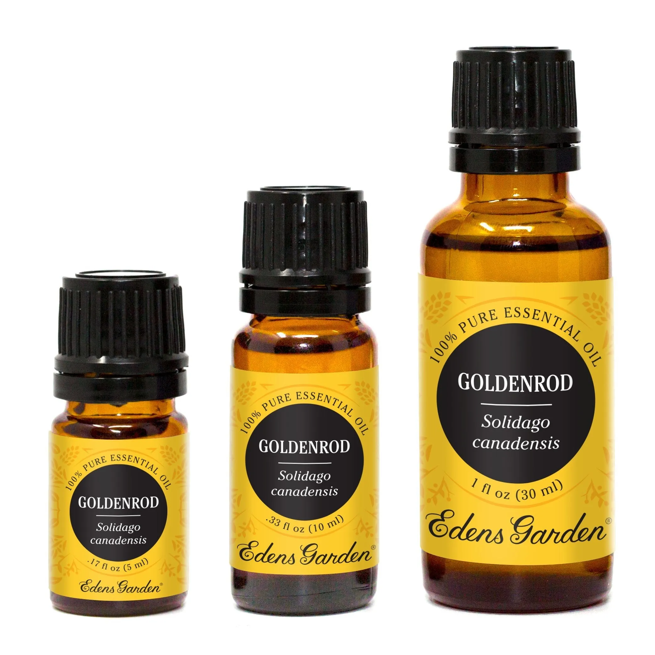 Goldenrod Essential Oil