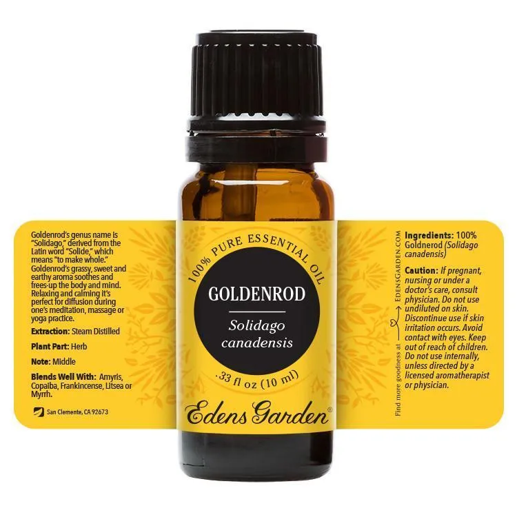 Goldenrod Essential Oil