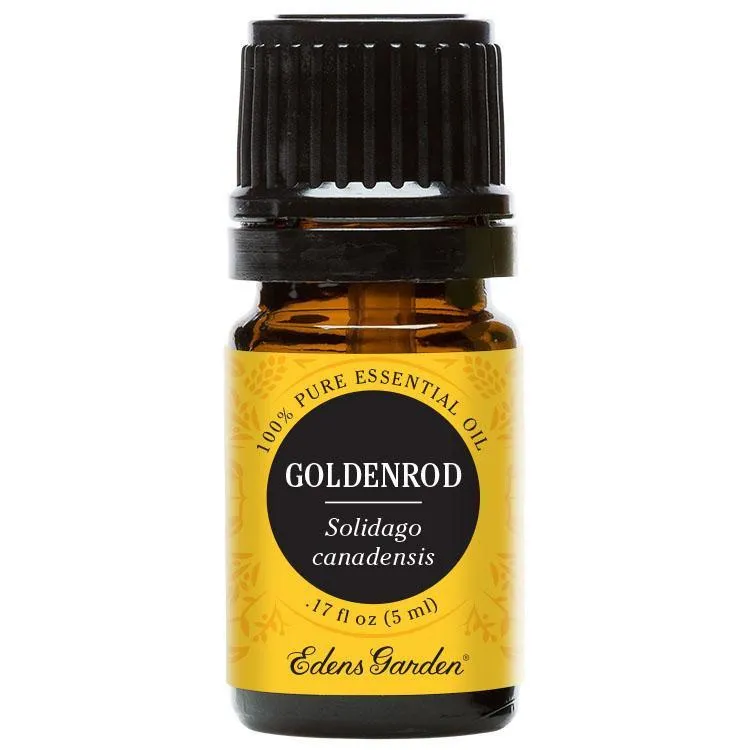 Goldenrod Essential Oil