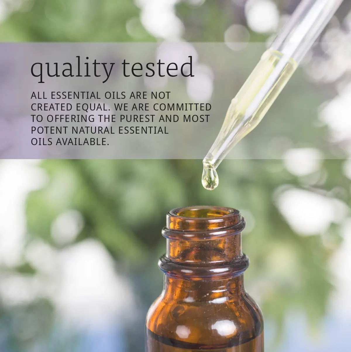 NOW Foods Essential Oils Rosemary, 4 fl oz