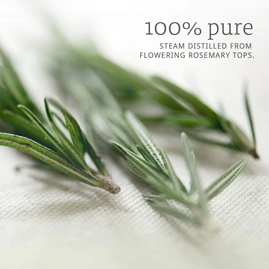 NOW Foods Essential Oils Rosemary, 4 fl oz