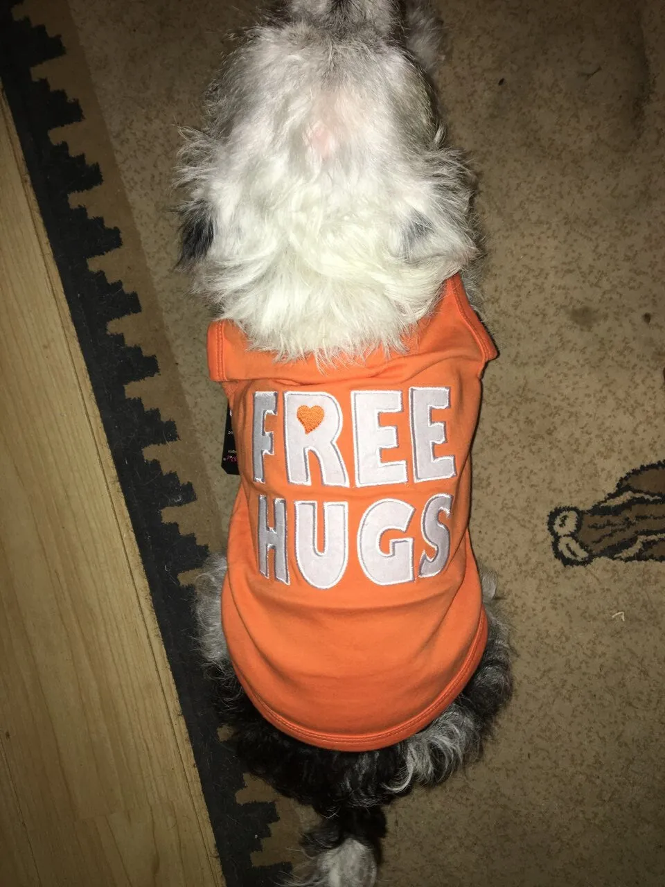 Parisian Pet Who Saved Who Embroidered Tshirt