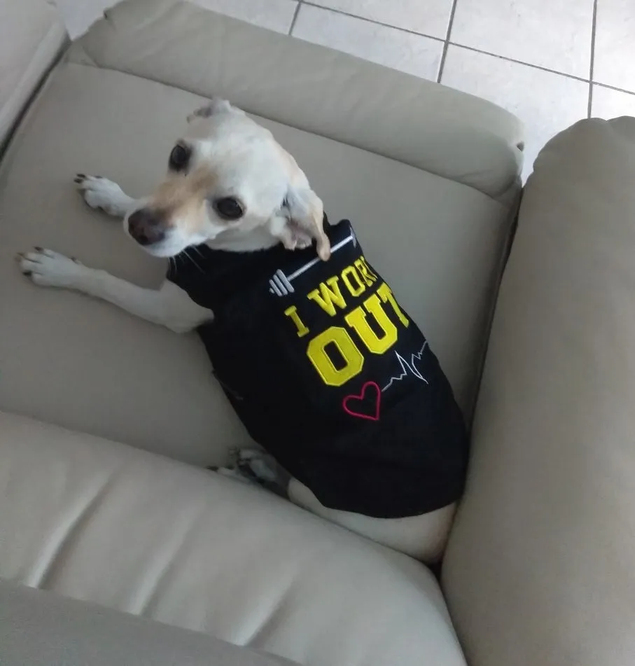 Parisian Pet Who Saved Who Embroidered Tshirt