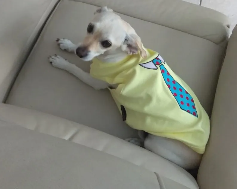 Parisian Pet Who Saved Who Embroidered Tshirt