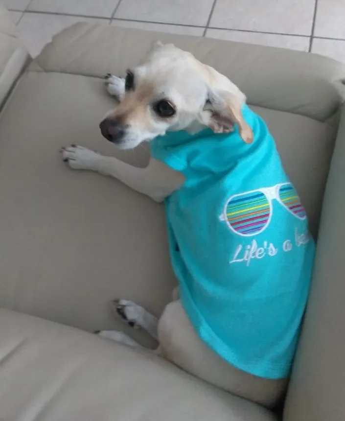 Parisian Pet Who Saved Who Embroidered Tshirt