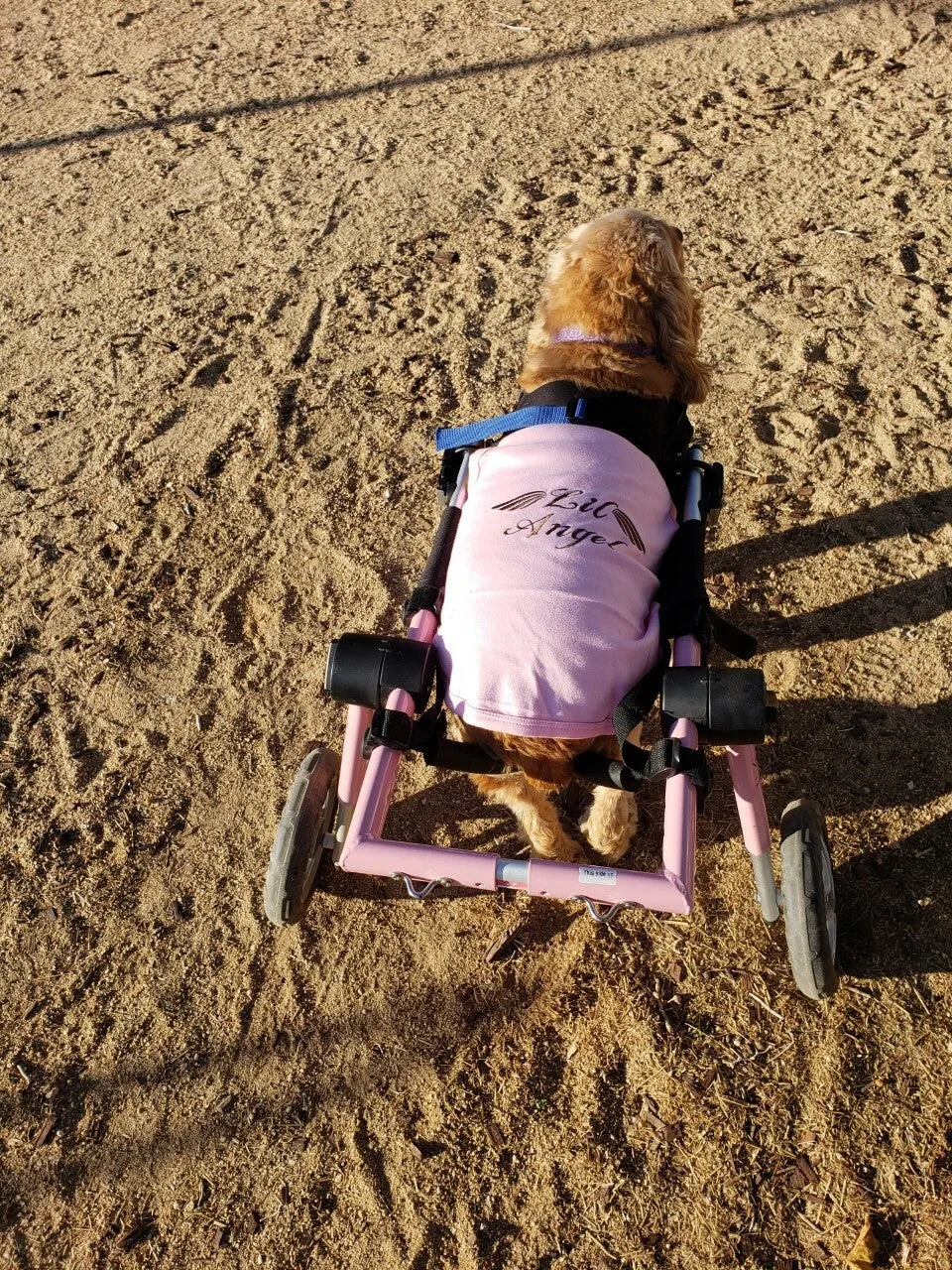 Parisian Pet Who Saved Who Embroidered Tshirt