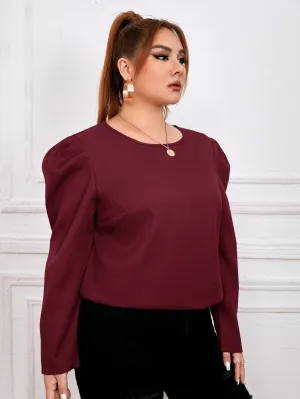 Plain Tie Back Long Sleeve Round Neck Regular Plus Size Blouse